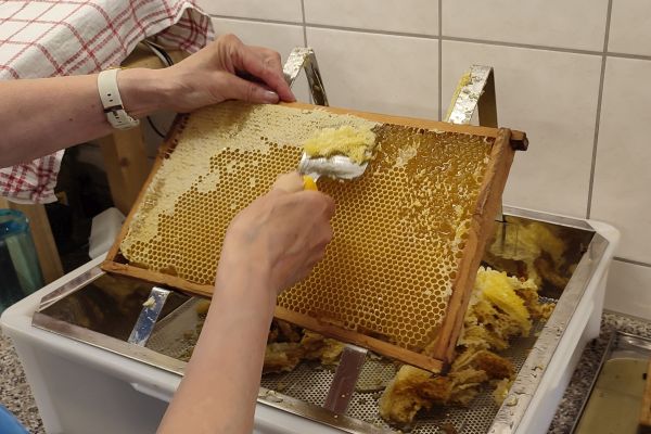 Gewinnung Honig