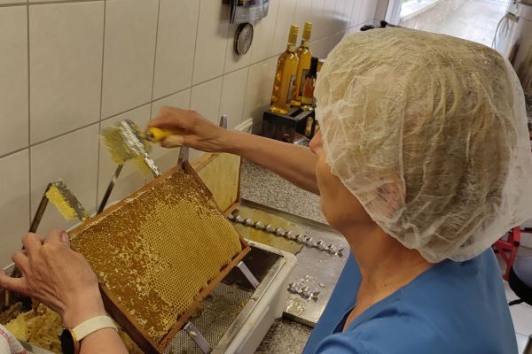 Gewinnung Honig.